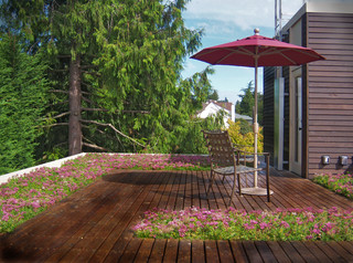 deck maintenance can extend the life of your deck